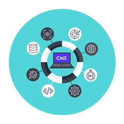 cms-website-development