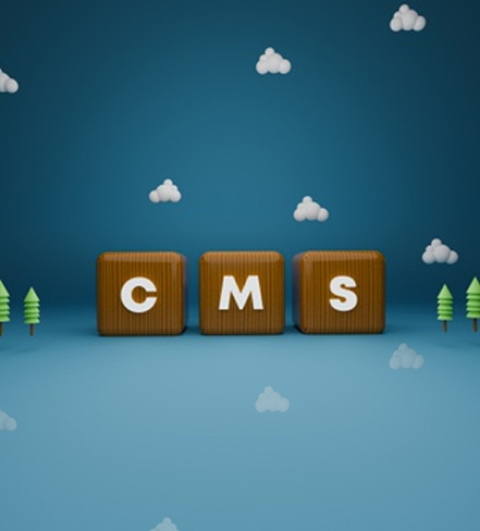 why-cms